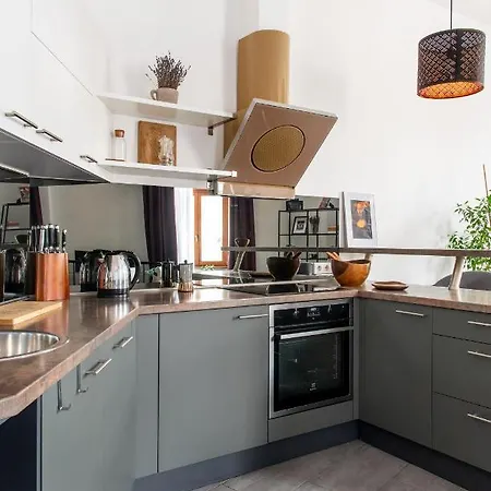 公寓 Ferenc Ring Panorama *