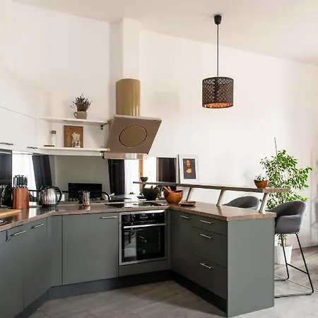 Apartmán Ferenc Ring Panorama *